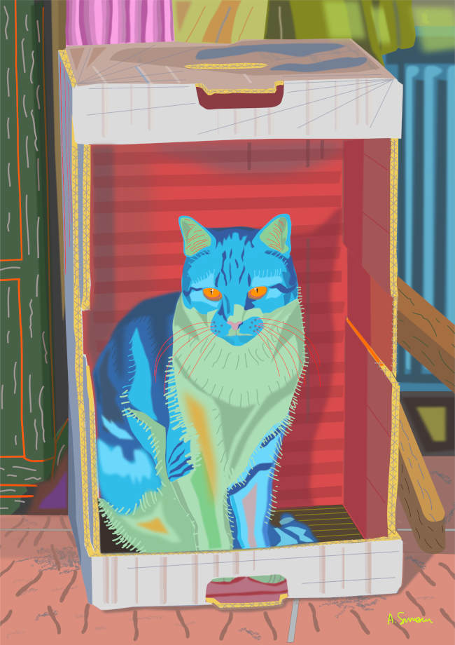 Kyra le chat