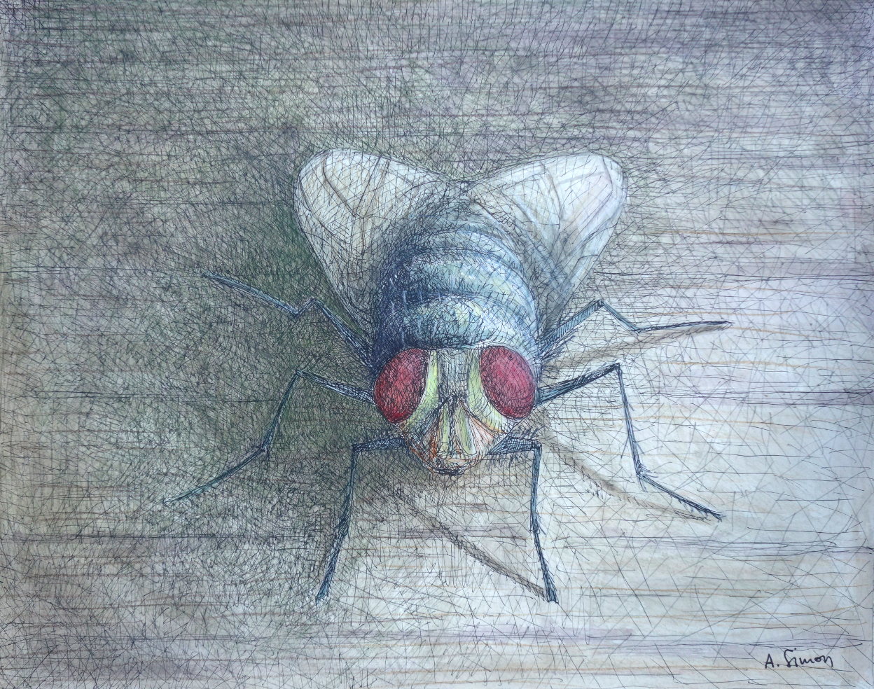 La mouche